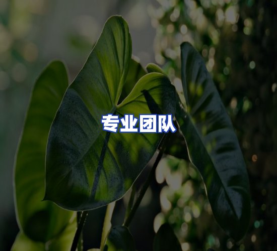 现代化仓储中心